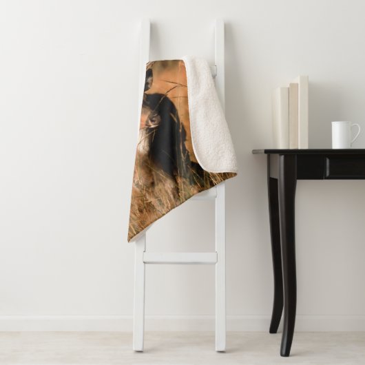 Chital Natural Habitat | Bandhavgar National Park Sherpadecke (Beispiel)