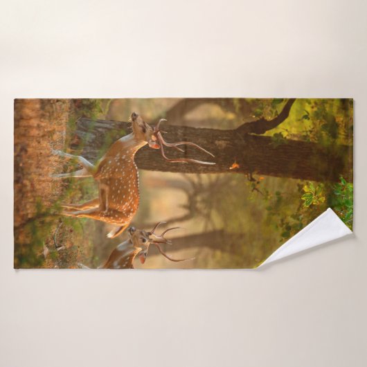 Chital oder cheetal, Achsachse, gepunktete Hirsche Badehandtuch (Badehandtuch)
