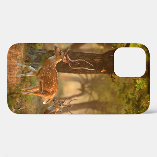 Chital oder cheetal, Achsachse, gepunktete Hirsche Case-Mate iPhone Hülle (Rückseite (Horizontal))