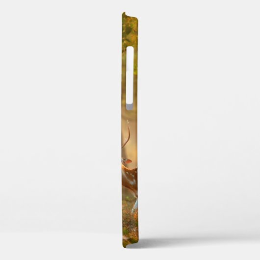 Chital oder cheetal, Achsachse, gepunktete Hirsche Case-Mate iPhone Hülle (Rückseite / Links)