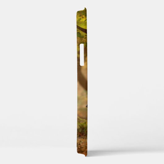 Chital oder cheetal, Achsachse, gepunktete Hirsche Case-Mate iPhone Hülle (Rückseite / Rechts)