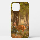 Chital oder cheetal, Achsachse, gepunktete Hirsche Case-Mate iPhone Hülle (Rückseite)
