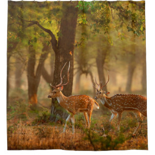 Chital oder cheetal, Achsachse, gepunktete Hirsche Duschvorhang