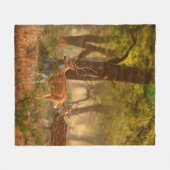 Chital oder cheetal, Achsachse, gepunktete Hirsche Fleecedecke (Vorderseite (Horizontal))