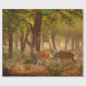 Chital oder cheetal, Achsachse, gepunktete Hirsche Geschenkpapier (Flach)