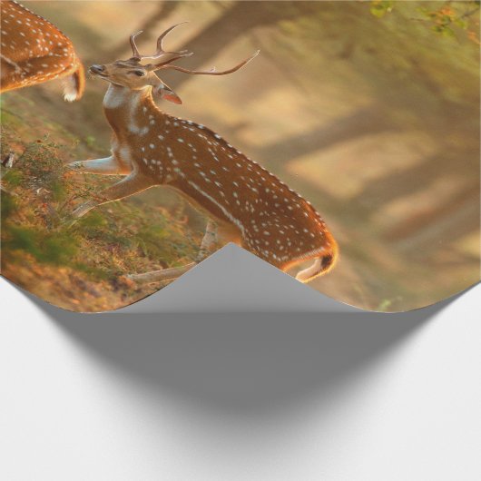 Chital oder cheetal, Achsachse, gepunktete Hirsche Geschenkpapier (Ecke)