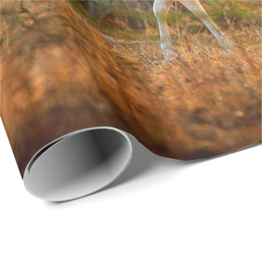 Chital oder cheetal, Achsachse, gepunktete Hirsche Geschenkpapier (Rolleneckpunkt)