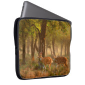 Chital oder cheetal, Achsachse, gepunktete Hirsche Laptopschutzhülle (Vorne Rechts)
