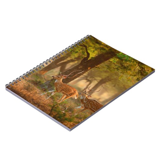 Chital oder cheetal, Achsachse, gepunktete Hirsche Notizblock (Linke Seite)