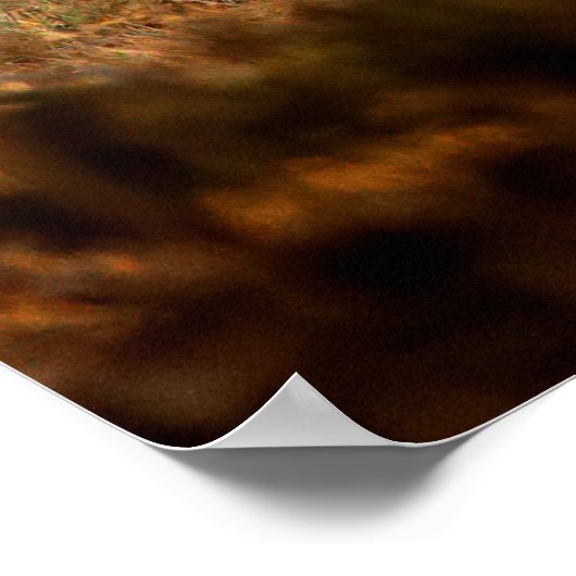 Chital oder cheetal, Achsachse, gepunktete Hirsche Poster (Ecke)