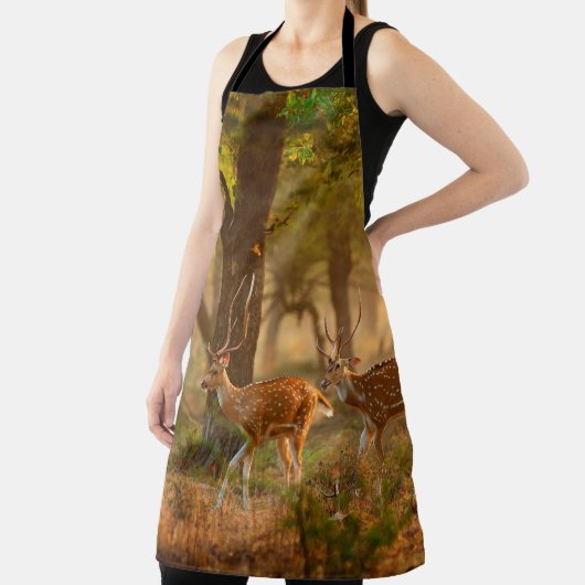 Chital oder cheetal, Achsachse, gepunktete Hirsche Schürze (InSitu)