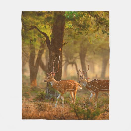 Chital oder Cheetal, Axis axis, gefleckte Hirsche Fleecedecke (Vorderseite)