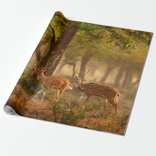 Chital oder Cheetal, Axis axis, gefleckte Hirsche Geschenkpapier (Ungerollt)