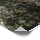 CHITCHENITZA #3 POSTER (Ecke)