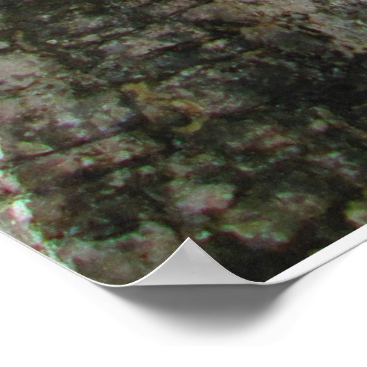 CHITCHENITZA #3 POSTER (Ecke)