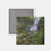 Chittenango Falls Magnet (Vorderseite/Rückseite)