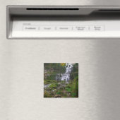 Chittenango Falls Magnet (In Situ (Geschirrspüler))
