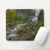 Chittenango Falls Mousepad (Mit Mouse)