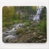 Chittenango Falls Mousepad (Vorne)