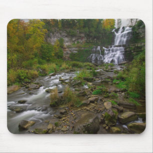 Chittenango Falls Mousepad