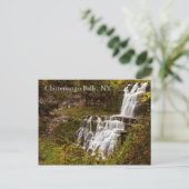 Chittenango Falls Postcard Postkarte (Stehend Vorderseite)