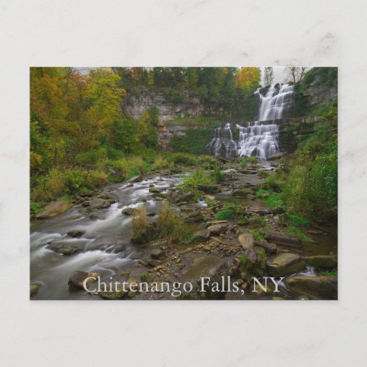 Chittenango Falls Postcard Postkarte (Vorderseite)