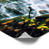 Chittenango Falls Staat Pak Poster (Ecke)