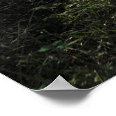 Chitwan Jungle Path: Sonnenbeleuchteter Waldweg Poster (Ecke)