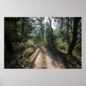 Chitwan Jungle Path: Sonnenbeleuchteter Waldweg Poster (Vorne)