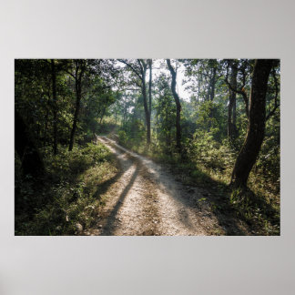 Chitwan Jungle Path: Sonnenbeleuchteter Waldweg Poster
