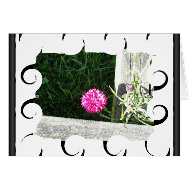 Chive (Vorderseite (Horizontal))