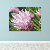 Chive Blossom Leinwand (Insitu (Holzboden))