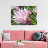 Chive Blossom Leinwand (Insitu (Wohnzimmer))