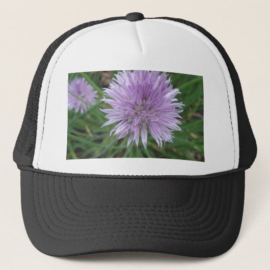 Chive Blossom Truckerkappe (Vorderseite)
