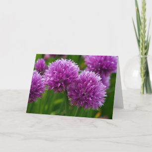 Chive Blume denken an Ihre Karte