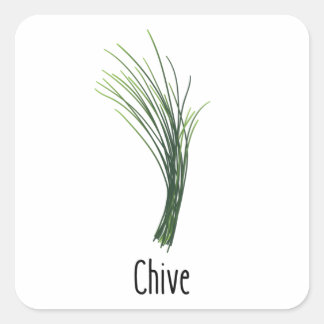 Chives Geices Herbs Quadratischer Aufkleber