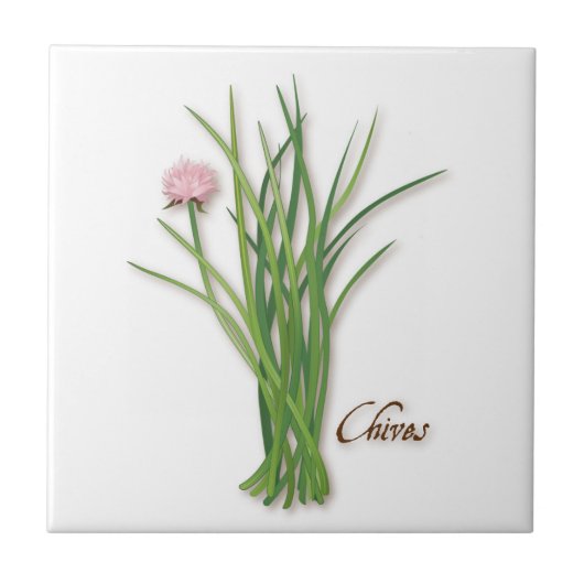 Chives Herb Keramik Tile Fliese (Vorderseite)
