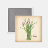 Chives Herb Magnet (Vorderseite/Rückseite)