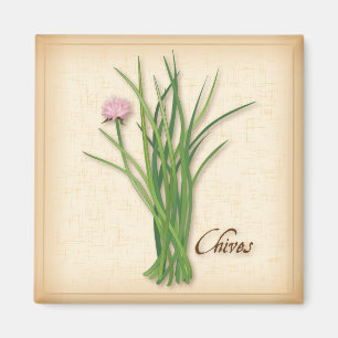 Chives Herb Magnet