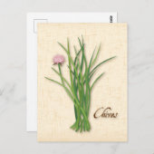 Chives Herb Postcard anpassen Postkarte (Vorne/Hinten)