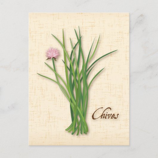 Chives Herb Postcard anpassen Postkarte (Vorderseite)