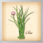 Chives Herb Poster (Vorne)