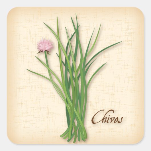 Chives Herb Square Sticker (Vorderseite)