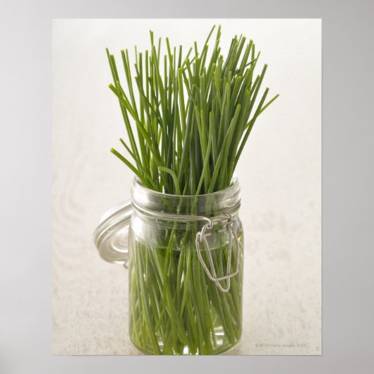 Chives Poster (Vorne)