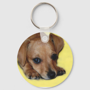 Chiweenie Welpen-Schlüsselanhänger Schlüsselanhänger