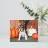 Chloe - Beagle Foto-1 Postkarte (Stehend Vorderseite)