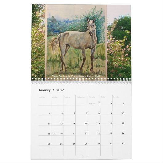 Chloe Dee Noble malt IRLAND mit Kalender 2026 (Jan 2026)