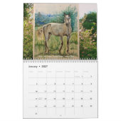 Chloe Dee Noble malt IRLAND mit Kalender 2026 (Jan 2027)