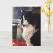 Chloe leckt karte (Gelbe Blume)