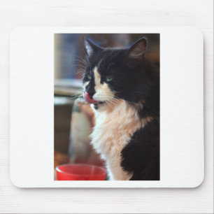 Chloe Licks Mousepad